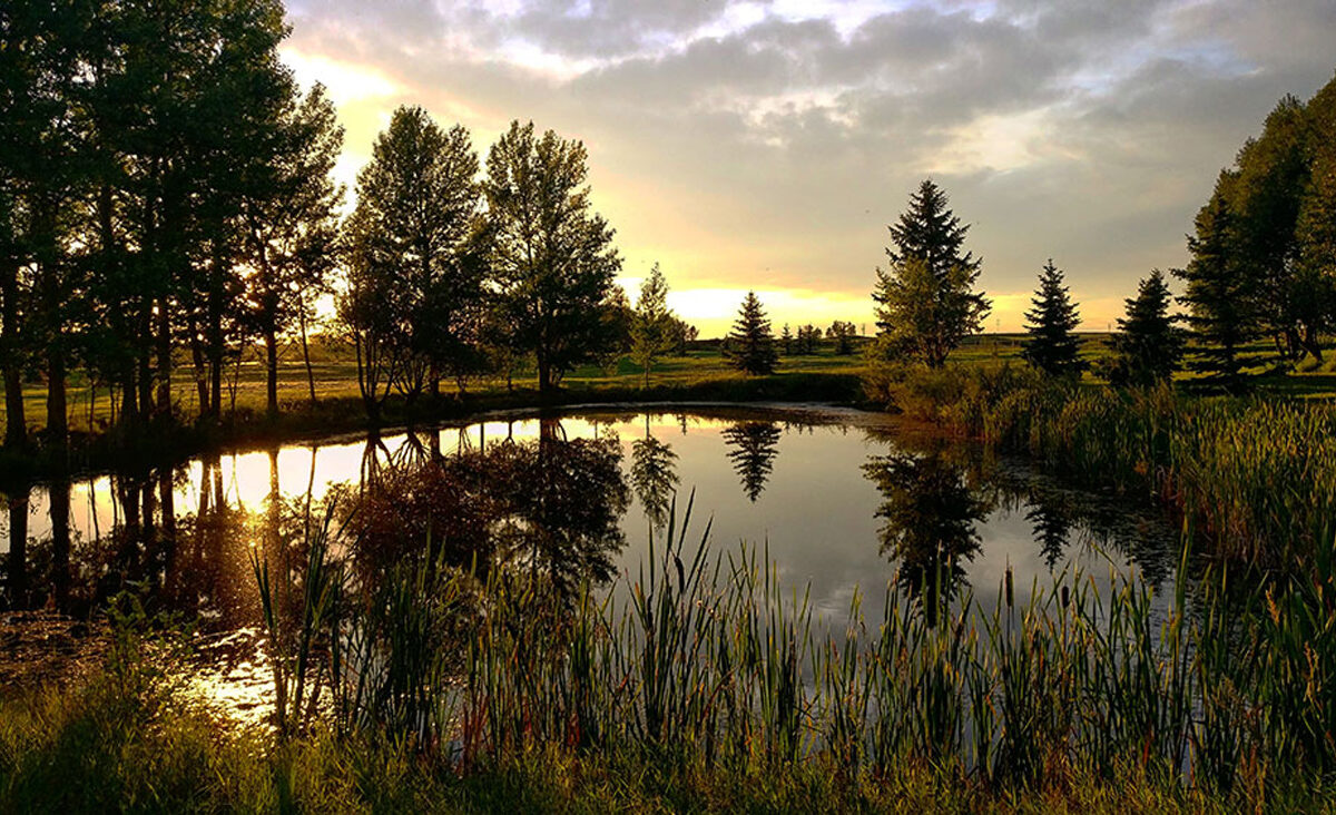 Sunset-on-Pond